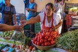 Hoy en AnálisisSuperior, David Páramo entrevista a Juan Carlos Anaya, Director de GCMA, para entender las causas detrás de este comportamiento en los precios y qué factores están presionando la inflación alimentaria en México.

#INFLACION #JITOMATE #PRECIOS 

COMENTA ESTE VIDEO Y COMPARTELO CON TUS AMIGOS

Para más información entra: http://www.youtube.com/ImagenRadioLive

No olvides dejarnos tus comentarios y visitarnos en

Facebook: https://www.facebook.com/ImagenRadio
X: https://twitter.com/Imagen_Mx
Sitio: http://pro.imagenradio.com.mx


Suscríbete a nuestro canal: https://www.youtube.com/channel/UCB0BUmdBOrH9mYU2ebs1eWA



#ImagenRadioEnVivo #NoticiasEnVivo