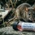 Brote de hantavirus en un crucero