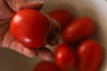Sube precio del jitomate en México